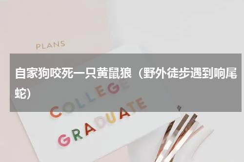 自家狗咬死一只黄鼠狼（野外徒步遇到响尾蛇）