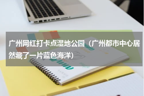 广州网红打卡点湿地公园（广州都市中心居然藏了一片蓝色海洋）