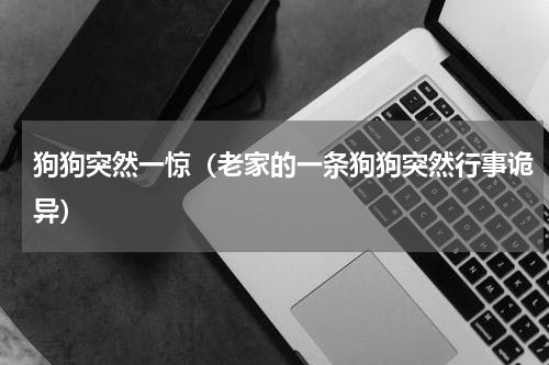 狗狗突然一惊（老家的一条狗狗突然行事诡异）