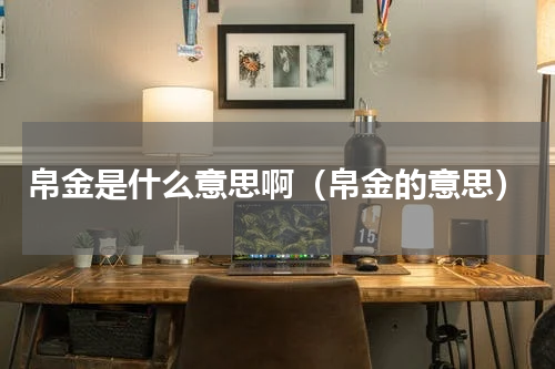 帛金是什么意思啊（帛金的意思）