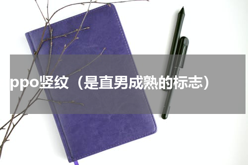 zippo竖纹（是直男成熟的标志）