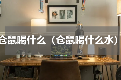 仓鼠喝什么（仓鼠喝什么水）