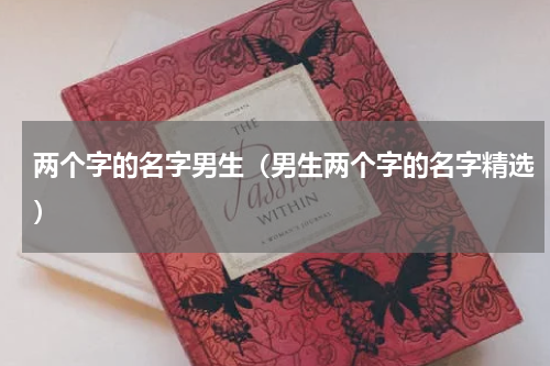 两个字的名字男生（男生两个字的名字精选）