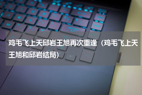 鸡毛飞上天邱岩王旭再次重逢（鸡毛飞上天王旭和邱岩结局）