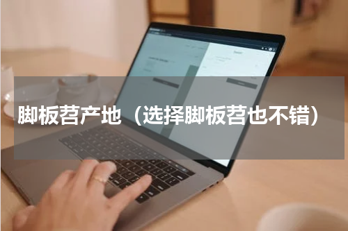 脚板苕产地（选择脚板苕也不错）