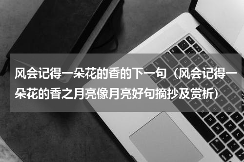 风会记得一朵花的香的下一句（风会记得一朵花的香之月亮像月亮好句摘抄及赏析）