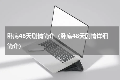 卧底48天剧情简介（卧底48天剧情详细简介）