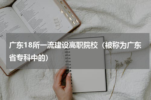 广东18所一流建设高职院校（被称为广东省专科中的）