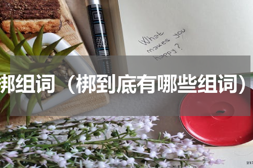 梆组词（梆到底有哪些组词）