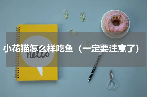 小花猫怎么样吃鱼（一定要注意了）
