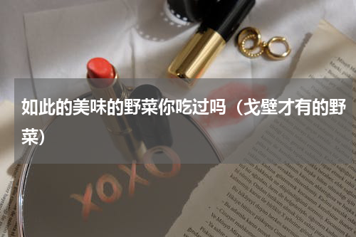 如此的美味的野菜你吃过吗（戈壁才有的野菜）