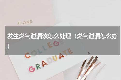 发生燃气泄漏该怎么处理（燃气泄漏怎么办）