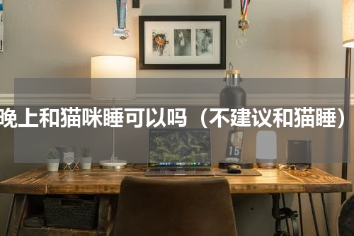 晚上和猫咪睡可以吗（不建议和猫睡）
