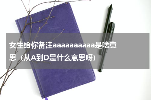 女生给你备注aaaaaaaaaa是啥意思（从A到D是什么意思呀）