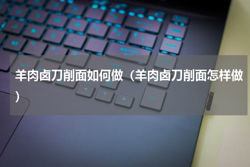 羊肉卤刀削面如何做（羊肉卤刀削面怎样做）