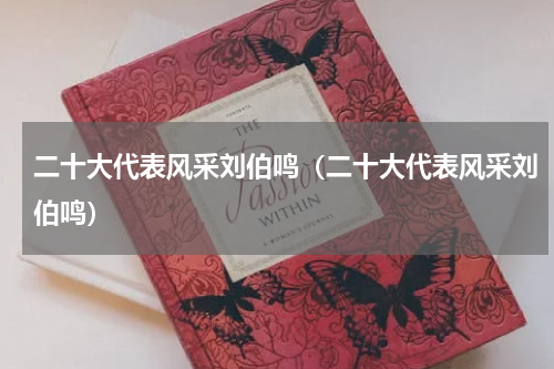 二十大代表风采刘伯鸣（二十大代表风采刘伯鸣）