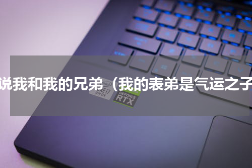 小说我和我的兄弟（我的表弟是气运之子）