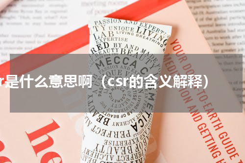 csr是什么意思啊（csr的含义解释）
