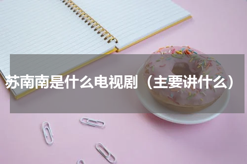 苏南南是什么电视剧（主要讲什么）