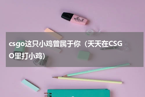 csgo这只小鸡曾属于你（天天在CSGO里打小鸡）