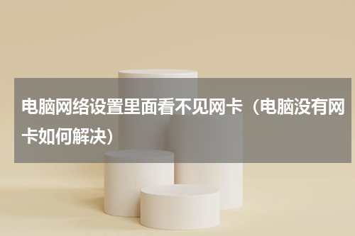 电脑网络设置里面看不见网卡（电脑没有网卡如何解决）