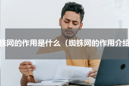蜘蛛网的作用是什么（蜘蛛网的作用介绍）
