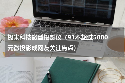 极米科技微型投影仪（91不超过5000元微投影成网友关注焦点）