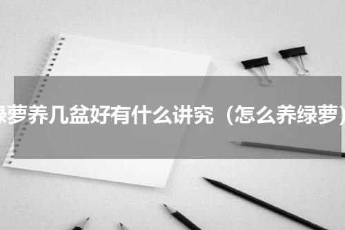 绿萝养几盆好有什么讲究（怎么养绿萝）