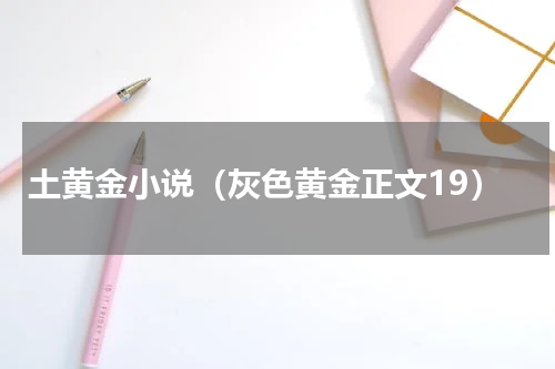 土黄金小说（灰色黄金正文19）