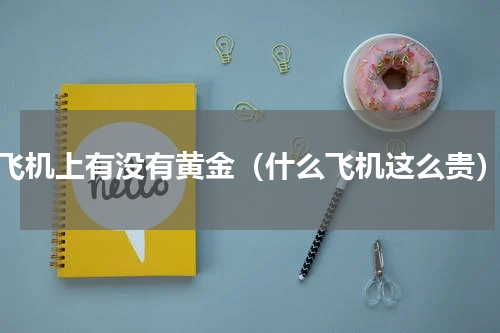飞机上有没有黄金（什么飞机这么贵）