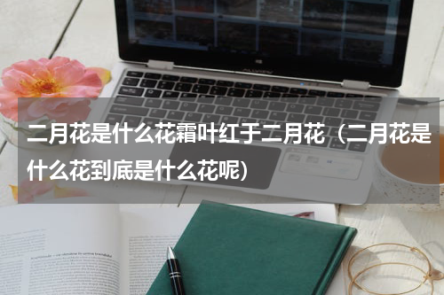 二月花是什么花霜叶红于二月花（二月花是什么花到底是什么花呢）
