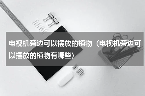 电视机旁边可以摆放的植物（电视机旁边可以摆放的植物有哪些）