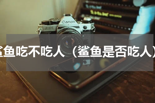 鲨鱼吃不吃人（鲨鱼是否吃人）