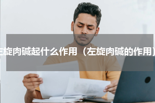 左旋肉碱起什么作用（左旋肉碱的作用）