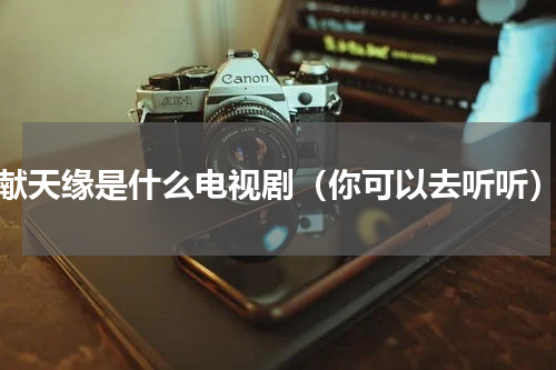 献天缘是什么电视剧（你可以去听听）