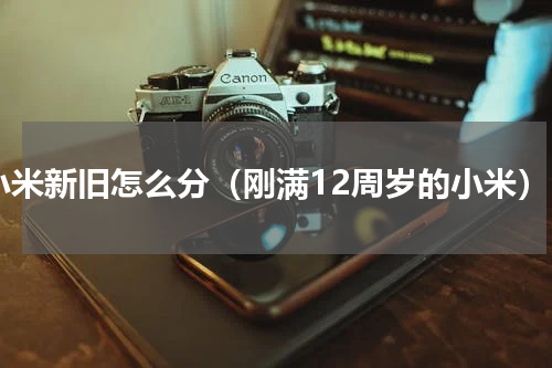 小米新旧怎么分（刚满12周岁的小米）