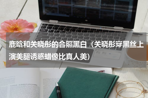 鹿晗和关晓彤的合照黑白（关晓彤穿黑丝上演美腿诱惑蜡像比真人美）