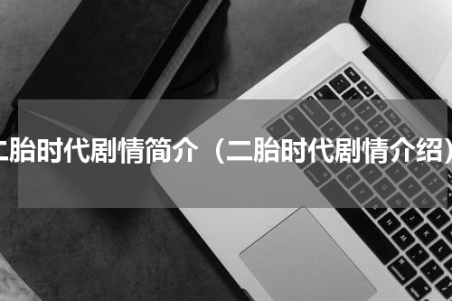 二胎时代剧情简介（二胎时代剧情介绍）