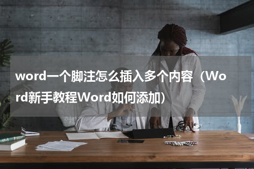 word一个脚注怎么插入多个内容（Word新手教程Word如何添加）