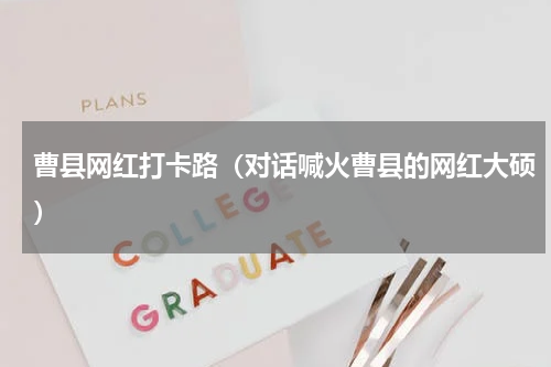 曹县网红打卡路（对话喊火曹县的网红大硕）
