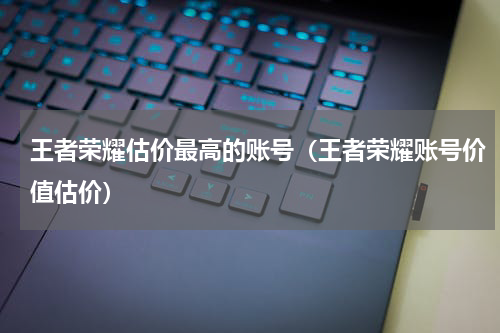 王者荣耀估价最高的账号（王者荣耀账号价值估价）