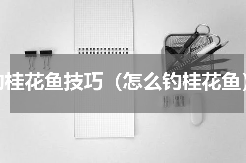 钓桂花鱼技巧（怎么钓桂花鱼）