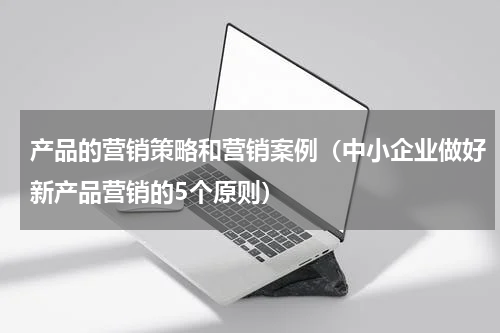 产品的营销策略和营销案例（中小企业做好新产品营销的5个原则）