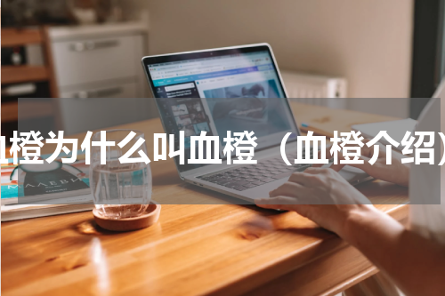 血橙为什么叫血橙（血橙介绍）