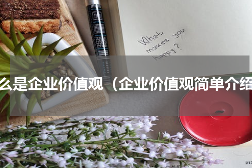 什么是企业价值观（企业价值观简单介绍）