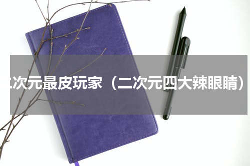 二次元最皮玩家（二次元四大辣眼睛）