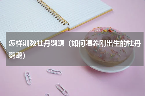 怎样训教牡丹鹦鹉（如何喂养刚出生的牡丹鹦鹉）