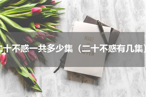 二十不惑一共多少集（二十不惑有几集）