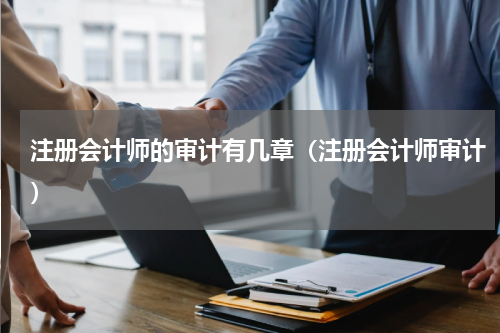 注册会计师的审计有几章（注册会计师审计）