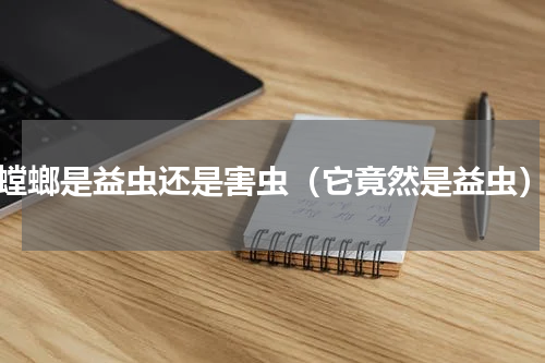 螳螂是益虫还是害虫（它竟然是益虫）